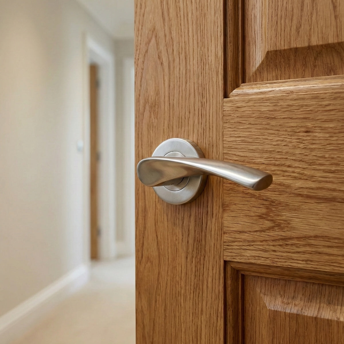 '2015' OLA model door handle with round stainless steel rosette
