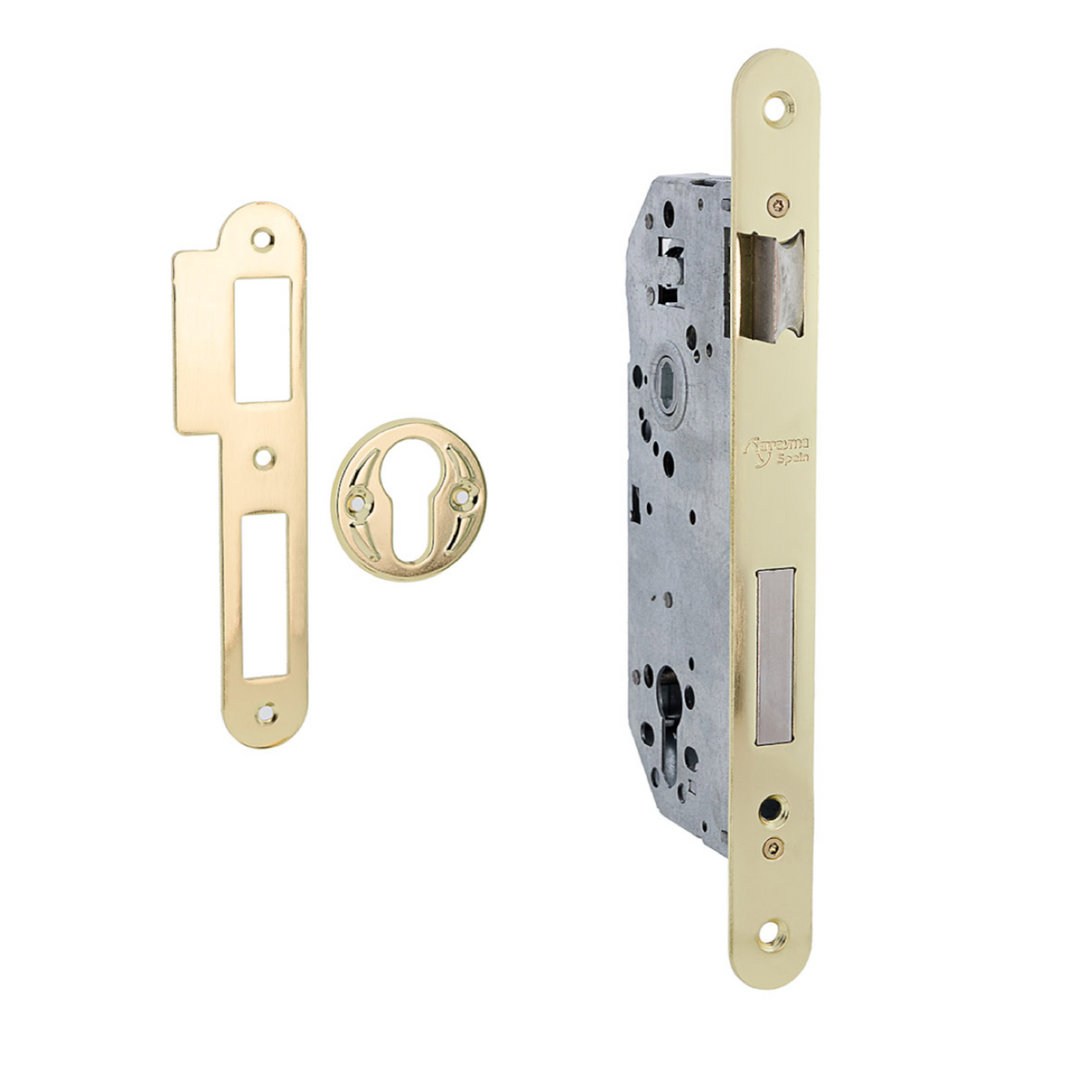 50mm mortise lock for European cylinder, round edge faceplate, 85mm centers, gold finish