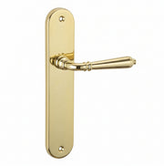 Poignée de porte sur plaque ovale en aluminium laitonné brillant 250x48 mm